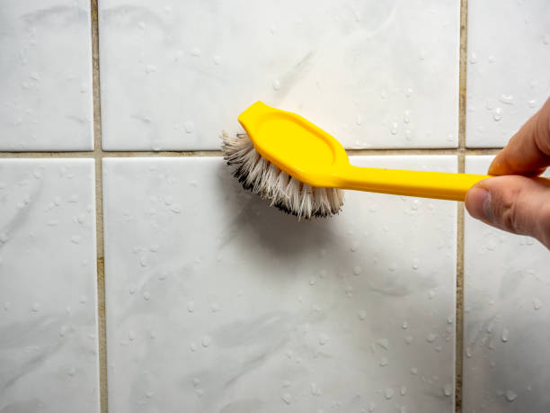Best Certified Mold Removal  in Lake Havasu City, AZ