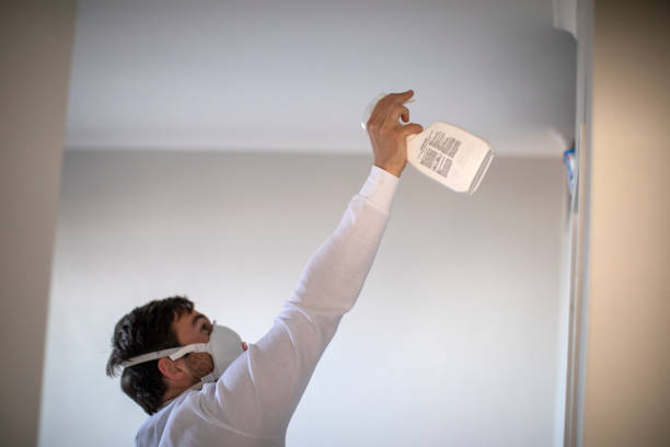 Mold Testing and Removal in Lake Havasu City, AZ