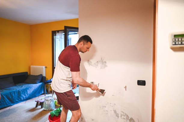 Best Black Mold Removal  in Lake Havasu City, AZ